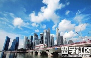 解析自費出國留學(xué)中介資質(zhì) 如何辨別正規(guī)與專業(yè)服務(wù)機(jī)構(gòu)